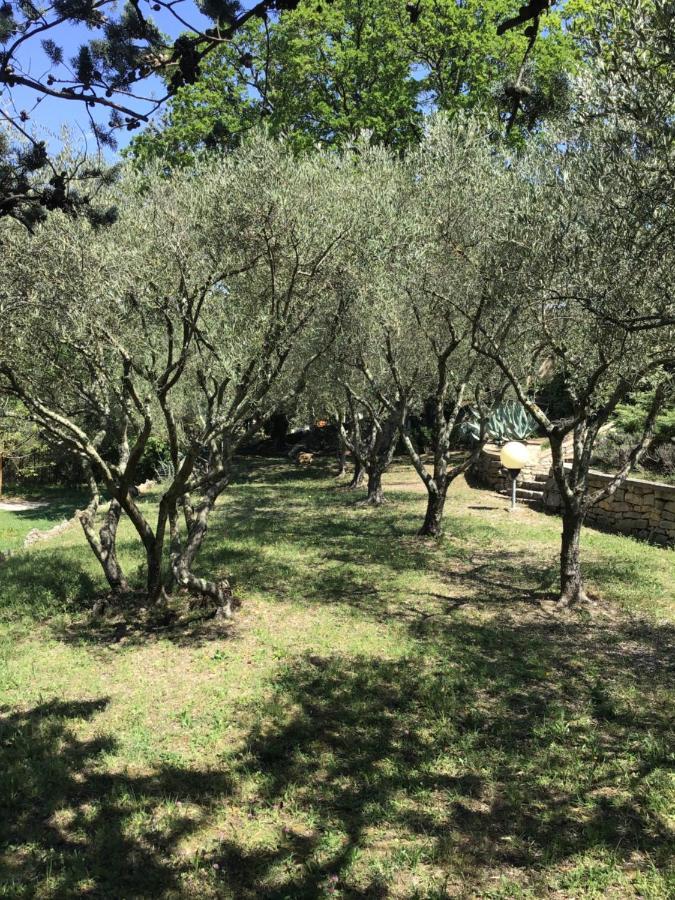 Bed & Breakfast San Marco D Hotes *