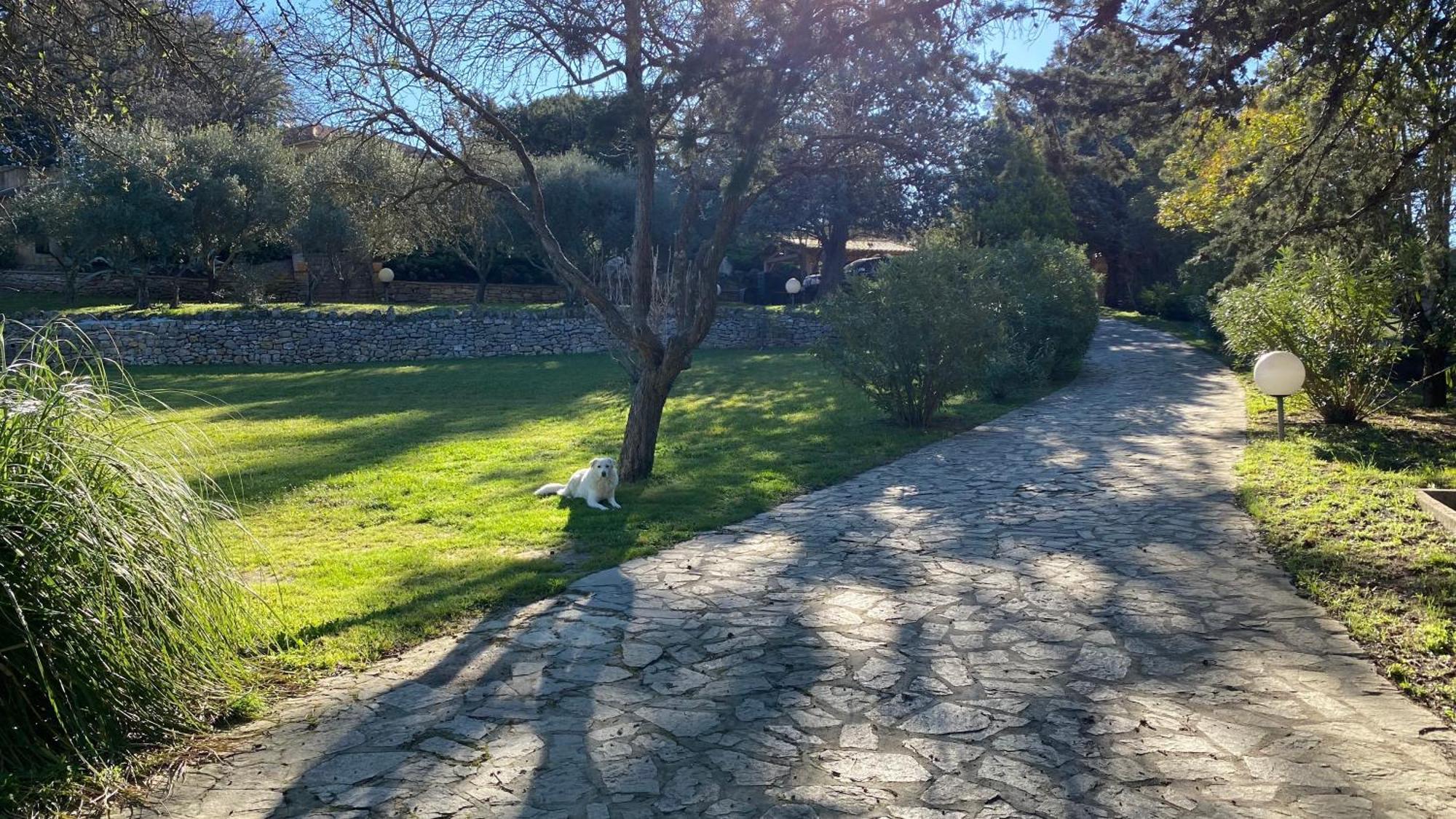 San Marco D Hotes Bed & Breakfast